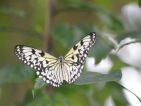 Lomdyn-wystawa-Free-Range-2013-102-1024x680